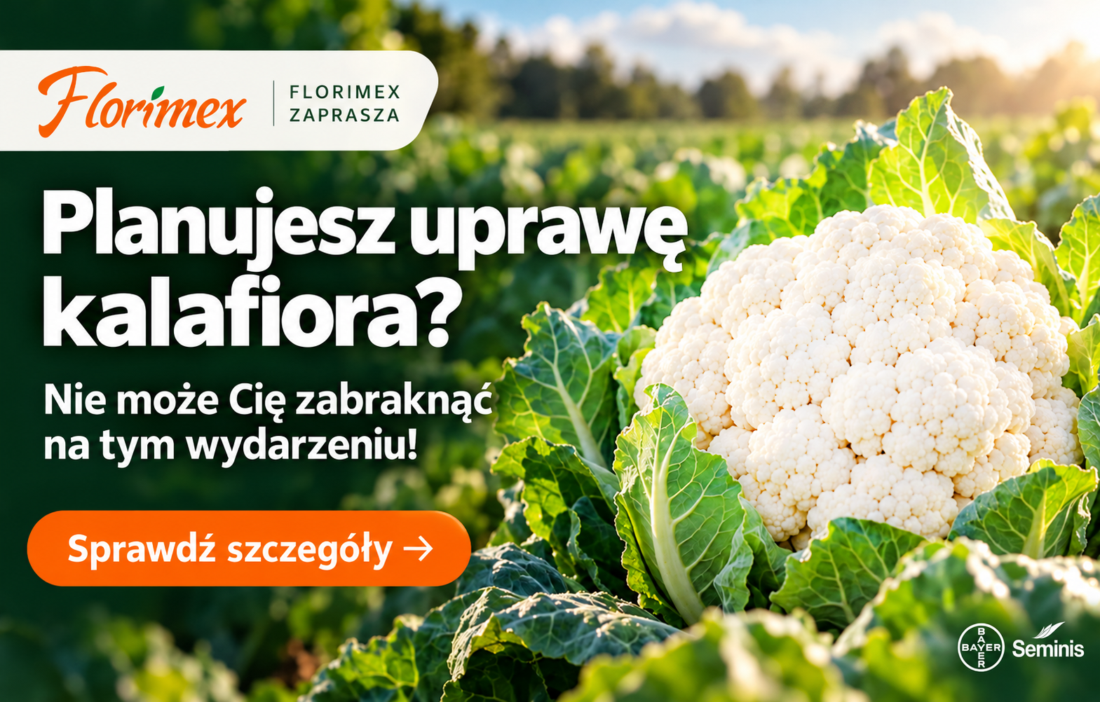 Zaproszenie na spotkanie kalafiorowe